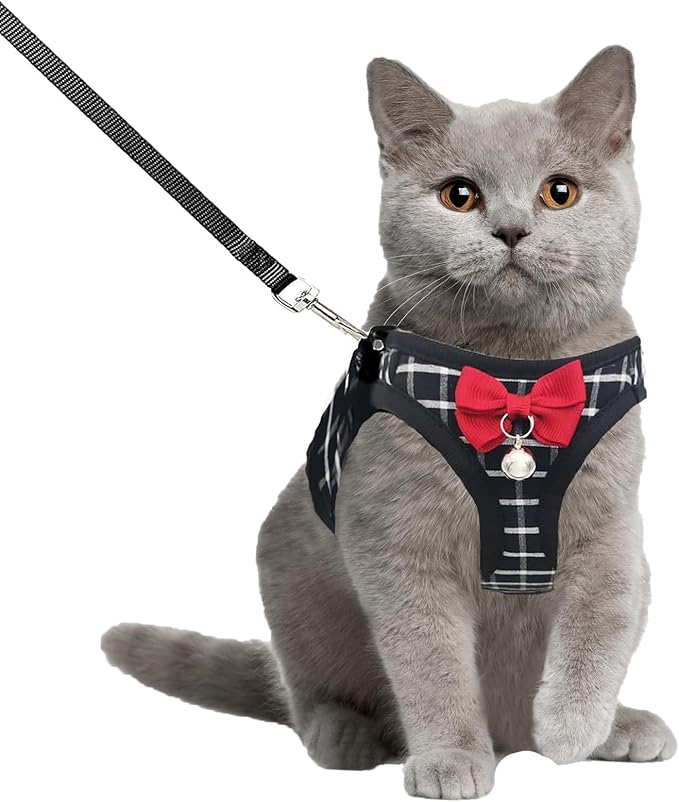 Cat Leash and Harness Set,Breathable Dog Harness,Pet Harness,Adjustable Mesh cat Harness and Leash Escape Proof for Puppy Cat Rabbit (Black, M)