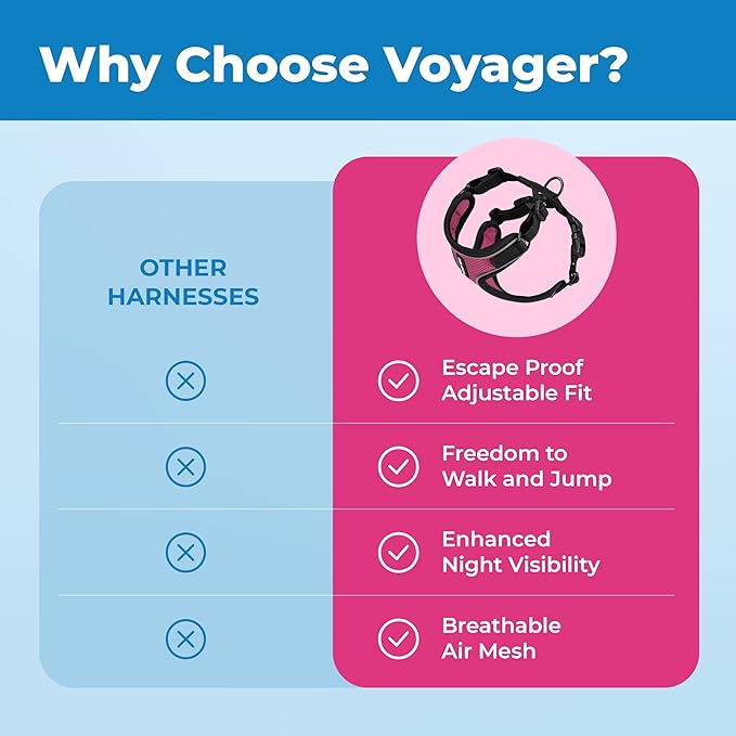 Voyager Escape-Proof Step-in Lock Cat Harness & 5ft Neoprene-Handle Leash Set All-Weather Mesh with Reflective Stitching for Small to Large Cats by Best Pet Supplies, Black Trim-Fuchsia (327), XS