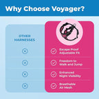 Voyager Escape-Proof Step-in Lock Cat Harness & 5ft Neoprene-Handle Leash Set All-Weather Mesh with Reflective Stitching for Small to Large Cats by Best Pet Supplies, Black Trim-Fuchsia (327), XS