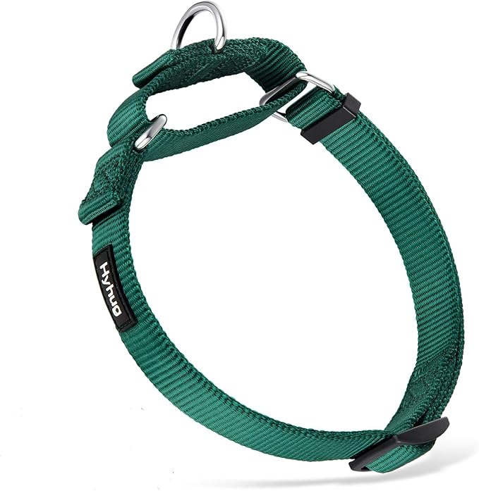 Hyhug Martingale Collar for Dogs Large Green |Escape - Proof Heavy Duty Nylon Durable No Pull, Ideal for Training & Daily Walks