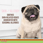 Licks Pill-Free Dog Skin & Allergy - Omega 3 Dog Allergy Relief - Vitamins & Supplements for Itch Relief - Turmeric Supplement for Skin - Gel Packets - 30 Use