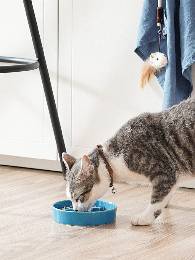 Ceramic Slow Feeder Dog Bowls Small Breed, 0.5 Cups Dog Food Dish for Fast Eaters, Puzzle Bowl for Small Dogs and Cats, 5.5 Inch-Blue