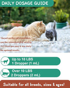 Hairball Treatment for Cats - Cat Hairball Remedy - with Natural Ingredients & Vitamins - Kitten Furball Treatment - Supports Skin & Coat, Digestion - Cat Grass Flavor