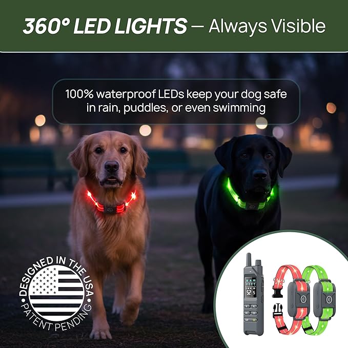 2-in-1 Dog Shock Collar with Remote & 360° LED Safety Lights – 4200FT Range Dog Training Collar, IPX7 Waterproof, 4 Training Modes, Rechargeable E-Collar for Small Medium & Large Dogs (10-120lbs)
