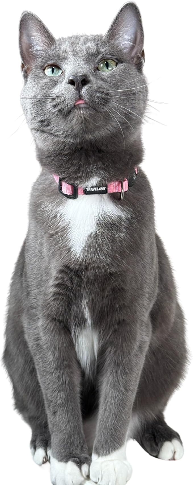 Travel Cat Breakaway Cat Collar - Pink Adjustable Cute Cat Collar with Quick Release Safety Buckle for Boy and Girl Cat - Nylon 8-13 inch Length Kitten Collar with Metal D-Ring, Machine Washable