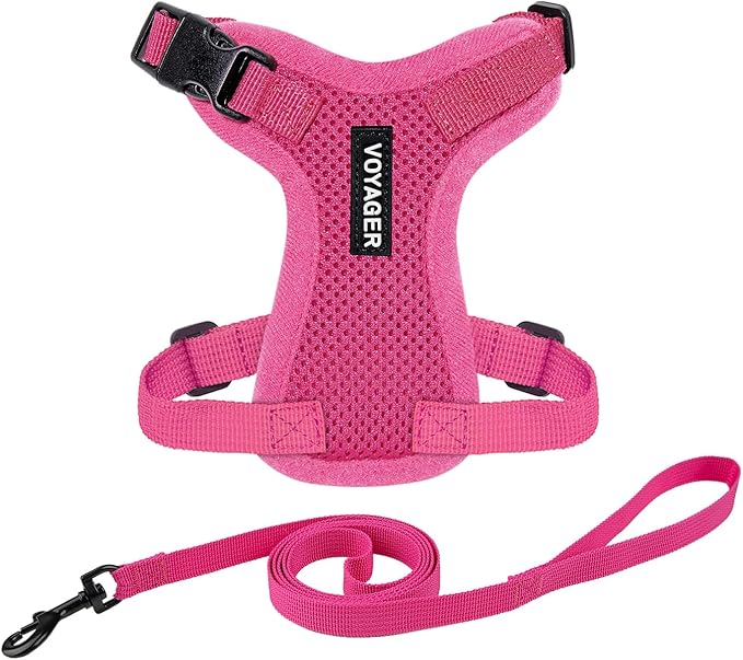 Voyager Escape-Proof Step-in Lock Cat Harness & 5ft Neoprene-Handle Leash Set All-Weather Mesh with Reflective Stitching for Small to Large Cats by Best Pet Supplies, Fuchsia, XXXS