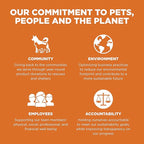 Go! Solutions Skin + Coat Care, Dry Dog Food, Salmon Recipe with Grains, 22 lb Bag