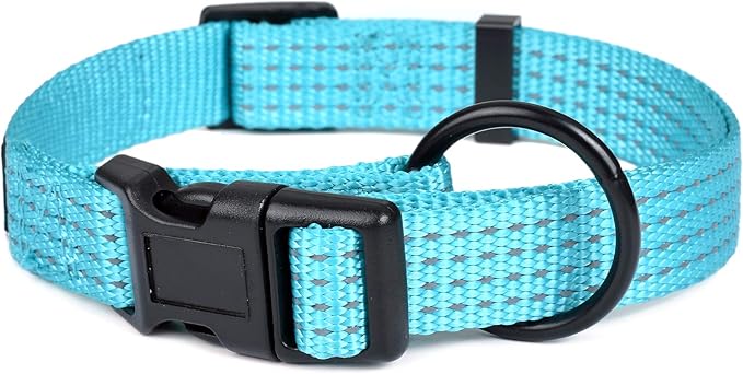 Mile High Life Dog Collar, Nylon Reflective Dog Collars w Pull D-Ring, Light Weight Puppy Collars, Hanger Dog Collars for Large Dogs(Green, Small)