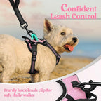 rabbitgoo Dog Harness No Pull with 2 Leash Clips, Adjustable Soft Padded, Reflective Oxford No Choke Pet Vest with Easy Control Handle for Puppy, Pink, XS