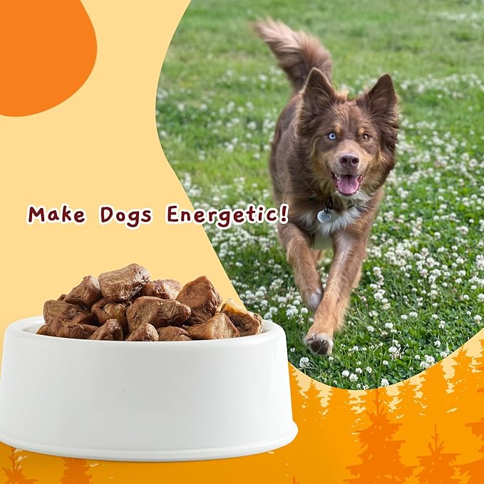 Jungle Calling Freeze Dried Cat & Dog Treats, Freeze Dried Chicken Hearts for Cats & Dogs, High Protein Single Ingredient Chicken Heart Snacks, Grain Free Pet Training Rewards (Chicken Hearts, 2.3 oz)