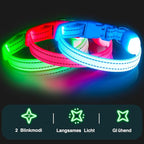 Light Up Dog Collar at Night, Led Dog Collar Adjustable, Rechargeable Waterproof, Dog Lights for Night Walking, Glow in The Dark (S, Blue)