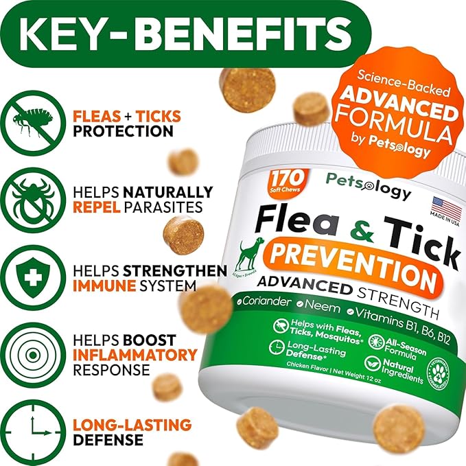 (2 Pack) Flea and Tick Prevention for Dogs Pills - 340 Chews - Natural Dog Flea & Tick Control - Oral Defense Treatment for Dogs Supplement - Vet Formulated - All Breeds & Ages - Made in USA