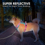 PHOEPET No Pull Dog Harness, Unique Colors Reflective Adjustable Dog Vest, with Soft Training Handle Metal Clips for Small Medium Large Dogs (Mint Green Base & Pink Straps,XS)