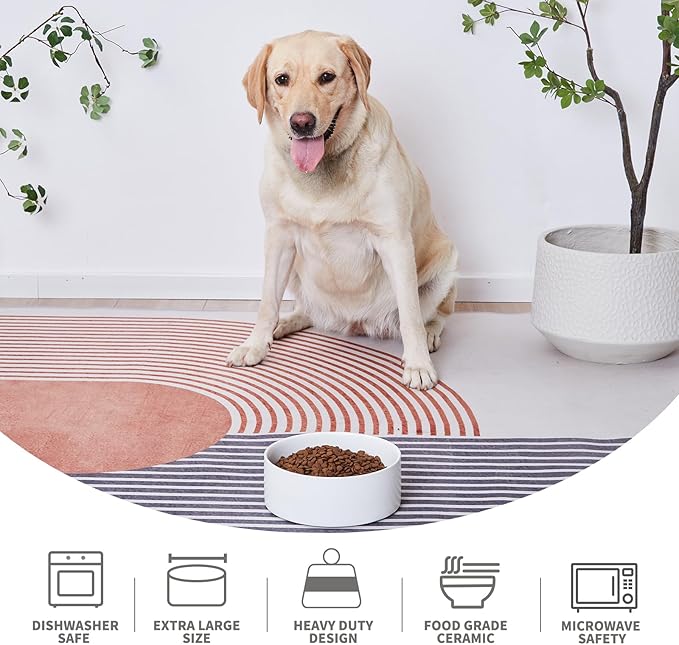 Ceramic Set of 2 Dog Bowls - Classic Dogs Food & Water Bowl for Small and Medium Breed, Heavy-Duty Non-Slip Dog Dishes, Food Grade Pet Bowl, Dishwasher & Microwave Safe (6'', 2*30OZ, White)