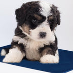 Ipetboom Pet Heating Pad Cat Heating Pad Pet Mat Cat Electric Mat Cover Dog Heating Pad Comfort Pet Dog Bed External Cover for Winter Warm Pet Dogs Cats