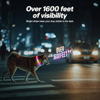 RUXAN Light Up Dog Collar,Dog Lights for Night Walking,LED Collars Waterproof,Glow Dog Collars Rechargeable,Glow in The Dark Dog Collar,Dog Collars Light for Small,Medium,Large Dogs (Medium,Pink)