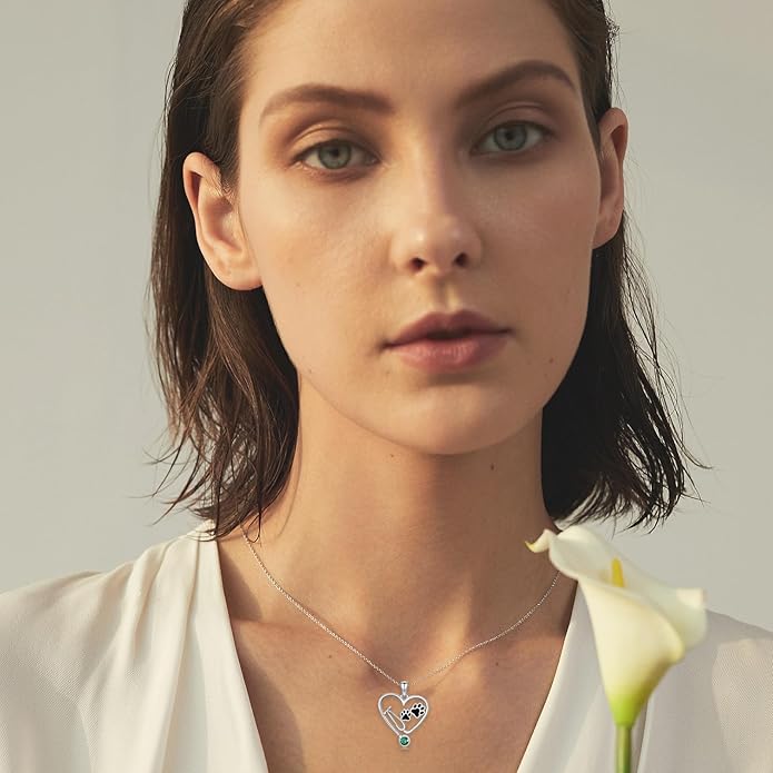 Birthstone Veterinary Stethoscope Necklace 925 Sterling Silver Nurse Vet Pendant with Dog Paw Nurse Jewelry Gifts for Veterinarian Nurse Women Veterinarian Gifts