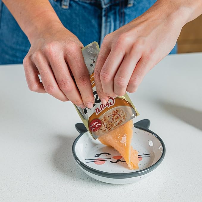 INABA Churu Stew for Cats, Side Dish Pouch with Vitamin E, 1.4 Ounces per Pouch, 12 Pouches, Chicken with Salmon Recipe