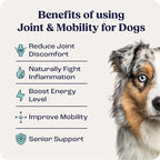 Summit Canine Joint and Mobility Supplement for Medium Dogs, All Natural Liquid Chondroitin, Liposomal Delivery for Arthritis, Hip & Joint Support Vitamin, (Dogs, 25-75lbs)