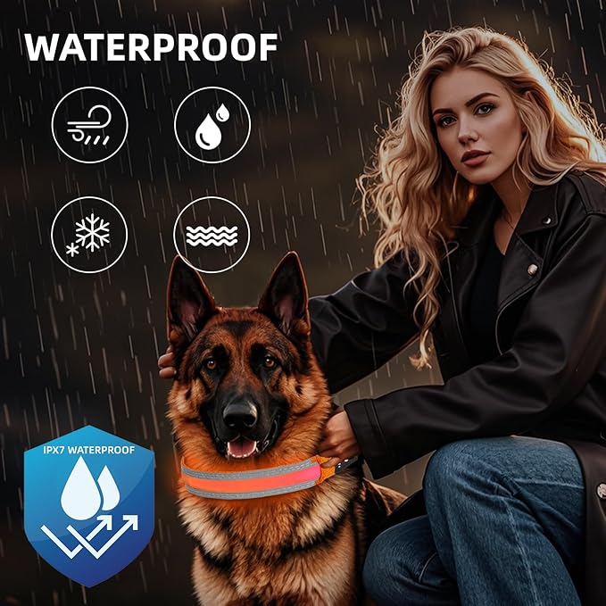 PetIsay LED Dog Collar Metal Buckle - Heavy Duty Light up Collars - Rechargeable IP68 Waterproof - Lighted Dog Collar for Night Walking, Hiking, Camping (Small, Orange)