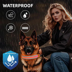 PetIsay LED Dog Collar Metal Buckle - Heavy Duty Light up Collars - Rechargeable IP68 Waterproof - Lighted Dog Collar for Night Walking, Hiking, Camping (Small, Orange)