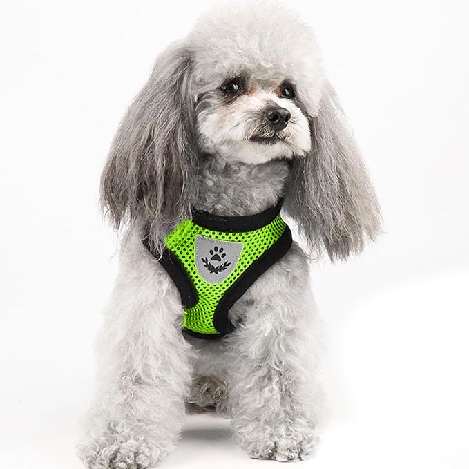 shudyear Summer cat Chest Harness and Leash, Anti-Escape Adjustable Soft mesh cat Leash and Chest Harness Set for All Types of Cats cat Vests (Size XL,Green)