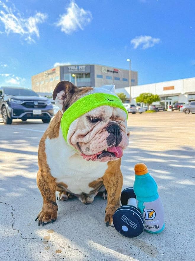 Nestpark Doggy Dumbbell - Funny Dog Toys Fitness Workout Parody Cute Dog Toys (Dumbbell)