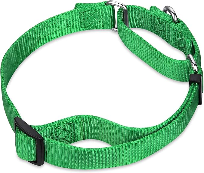 Hyhug Martingale Collar for Dogs Large Green |Escape - Proof Heavy Duty Nylon Durable No Pull, Ideal for Training & Daily Walks