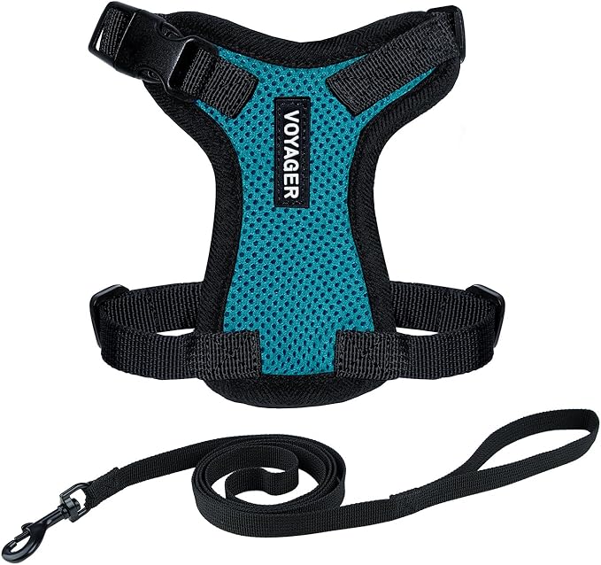 Voyager Escape-Proof Step-in Lock Cat Harness & 5ft Neoprene-Handle Leash Set All-Weather Mesh with Reflective Stitching for Small to Large Cats by Best Pet Supplies, Turquoise/Black Trim, XXS