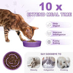 TRUVIC Ceramic Slow Feeder Dog Bowls Small Breed, 0.6 Cup Slow Feeder Cat Bowls for Fast Eaters, Ceramic Dog Food Dish no Black Chin, Puzzle Bowl for Small Dogs and Cats, Purple