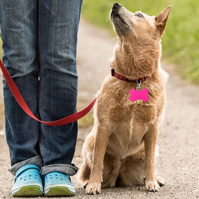 80 Pieces Pet ID Tag Colorful Blank Personalized Dog Tags Aluminum Pet Name Tags with Bone Paw Heart Cat Head Shape Animals Name Phone Number ID Craft with Holes for Dogs Cats
