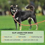 Lynxking Dog Leash Slip Lead Reflective Breathable Rope Comfortable Strong No Pull Slip On Pet Training Lead for Dogs