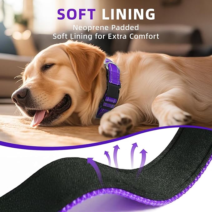 Reflective Dog Collar, Soft Neoprene Padded Nylon Pet Collar with Quick-Release Buckle, Adjustable for Extra Large Dogs,Purple,XL