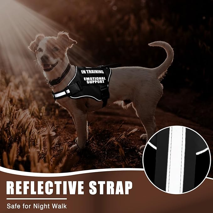 Service Dog Vest Harness+ID Tag+10 Patches,Metal Serivce Dog Tag&Reflective Emotional Support Dog Vest with Handle for Small Dogs,Easy Put On/Off for Training/Walking/Everyday Black XS