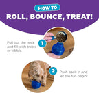 Outward Hound Lil' Snoop Interactive Treat Dispensing Dog Toy, Puzzle Ball Slow Feeder for Small to Medium Dogs, Mint-Scented for Mental Stimulation & Boredom Relief, BPA-Free, 3.9-Inch, Blue