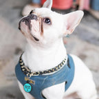 MYLUCKYTAG Silent Silicone QR Code Dog Tags - Scan QR for Instant Pet Location Alert Email