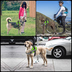 JSXD Dog Harness,No-Pull Service Dog Harness with Handle Adjustable Outdoor Pet Dog Vest 3M Reflective Nylon Material Vest for Breeds,Easy Control for Small Medium Large Dogs
