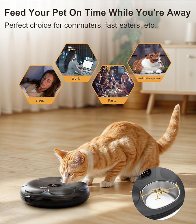 Casfuy Automatic Cat Feeder Cordless - Automatic Cat Food Dispenser with Stainless Steel Tray for Wet Food Rechargeable Auto Feeder for Cats Small Dogs with Programmable Timer Low Battery Indicator