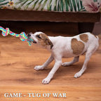 Dog Rope Toys for Large Medium Dog Chewers, Rope Indestructible Dog Chew Toys, 37 Inch 5 Knots Tough Dog Tug Toy for Teeth Cleaning, Tug of War