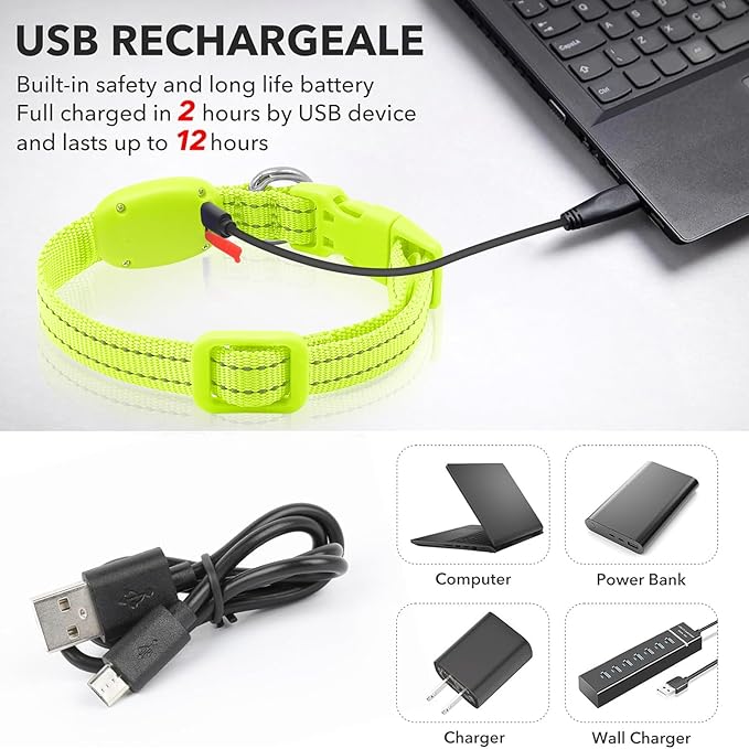 Light Up Collar for Small Dogs Cats - Reflective LED Dog Collar Glow in The Dark, Safety Pet Collar Lights for Nighttime Walking (Green)