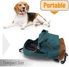 Mr. Pen- Dog Water Bottle, 19 oz, Large, Black, Portable Dog Water Bottle Dispenser, Not Dishwasher Safe