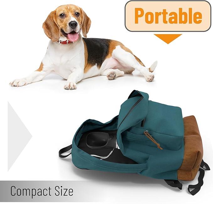 Mr. Pen- Dog Water Bottle, 19 oz, Large, Black, Portable Dog Water Bottle Dispenser, Not Dishwasher Safe