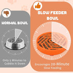 WHIPPY Slow Feeder Dog Bowl, Puzzle Maze Design to Slow Down Eating, 3-Cup Capacity, Anti-Gulping Food Bowl for Medium & Large Dogs,Orange