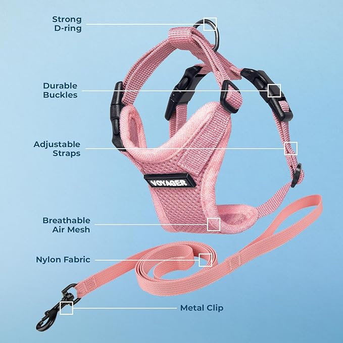 Voyager Escape-Proof Step-in Lock Cat Harness & 5ft Neoprene-Handle Leash Set All-Weather Mesh with Reflective Stitching for Small to Large Cats by Best Pet Supplies, Pink, XS