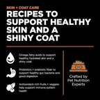 Go! Solutions Skin + Coat Care, Grain-Free Dry Cat Food, Salmon Recipe, 3 lb Bag