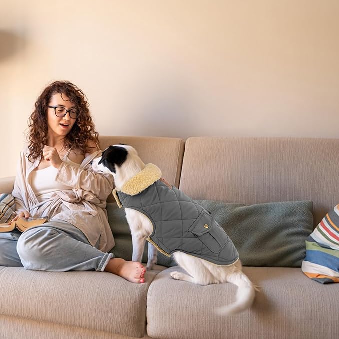 Large Dog Coat, Warm Jacket for Extra-Large Dogs, Dog Winter Coat, Pet Windproof Cold Weather Coats Snow Jacket Pet Clothes, Golden Retriever, Labrador Retriever, Husky, Grey L