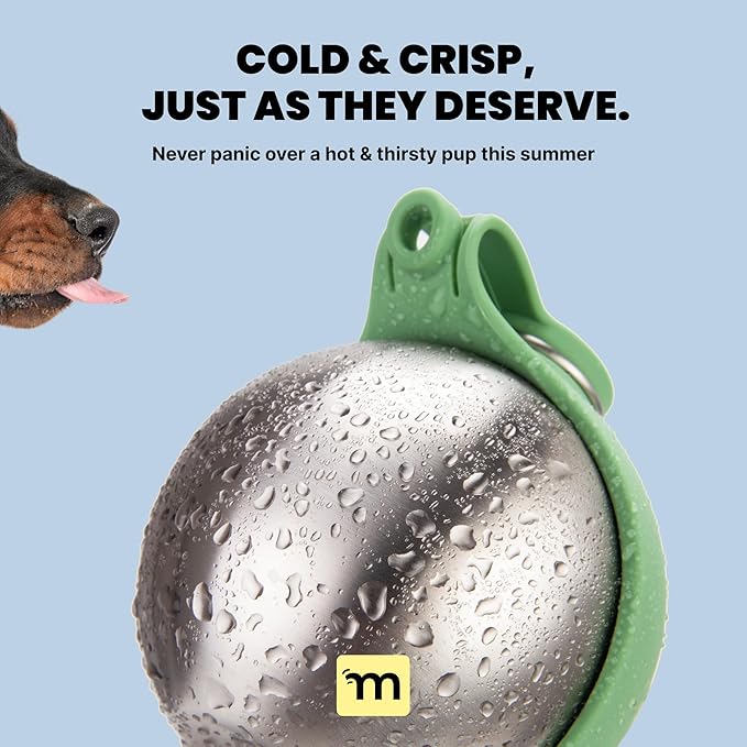 Malsipree 2-in-1 Portable Dog Water Bottle & Bowl for Small Dogs - Leak Proof & Insulating - Travel Water Dispenser - Stainless Steel Bottle & Silicone Bowl - Walking & Hiking (10 fl oz, Sage)