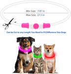 Flashseen LED Dog Collar, USB Rechargeable Glowing Lighted Up Collar, Cuttable Water-Resistant TPU Safety Collar Lights for Small Medium Large Dogs