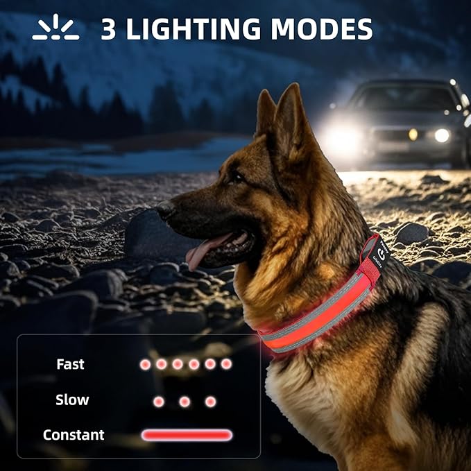 PetIsay LED Dog Collar Metal Buckle - Heavy Duty Light up Collars - Rechargeable IP68 Waterproof - Lighted Dog Collar for Night Walking, Hiking, Camping (Large, Red)