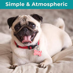 Dog Tag Clips, Stainless Steel Heavy Duty Ring Pet Tag Key Ring Clips, Pet Tags Clip for Collars Keychain Clip for Pets Collars and Harnesses